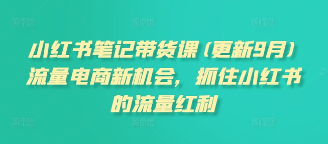 小红书笔记带货课(更新25年3月)流量电商新机会,抓住小红书的流量红利