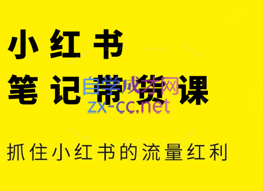 张宾·小红书笔记带货课(更新6月)