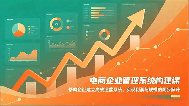 电商企业管理系统构建课：帮助企业建立高效运营系统，实现利润与规模的同步跃升