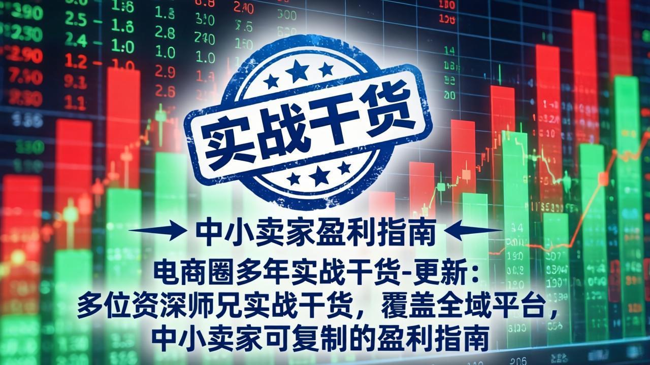 电商圈多年实战干货-更新4月27：多位资深师兄实战干货/覆盖全域平台，中小卖家可复制的盈利指南